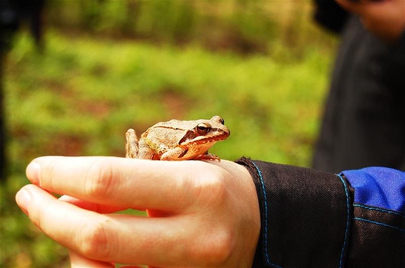 20090425_gmihaila_22