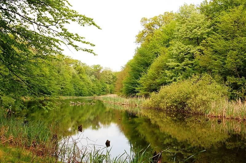 20090425_gmihaila_24