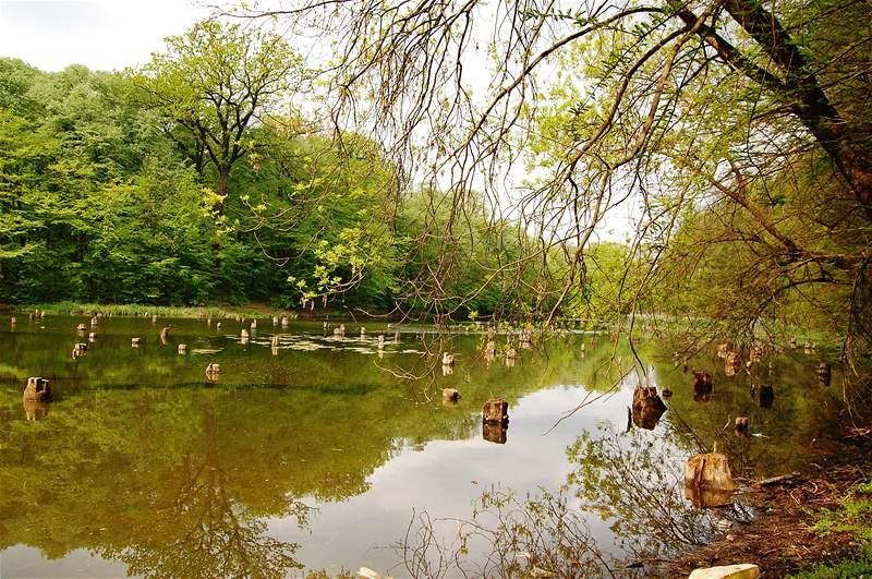 20090425_gmihaila_29