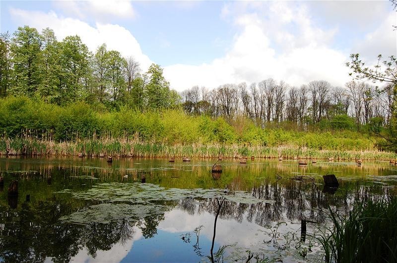 20090425_gmihaila_33