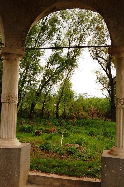 20090425_gmihaila_39