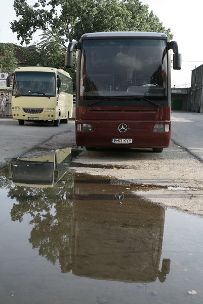 ...doi gandaci intr-o oglinda