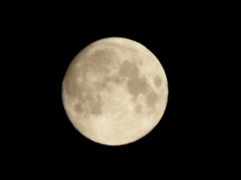 dscf2205