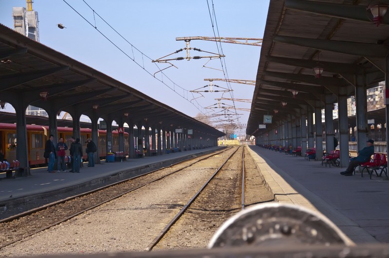 mihai_trasca_dragonul_rosu_01