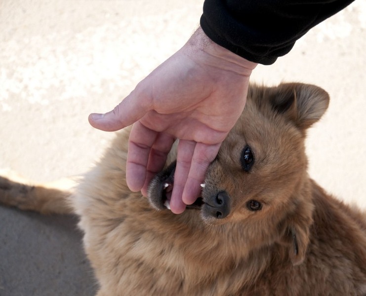 mihai_trasca_dragonul_rosu_10