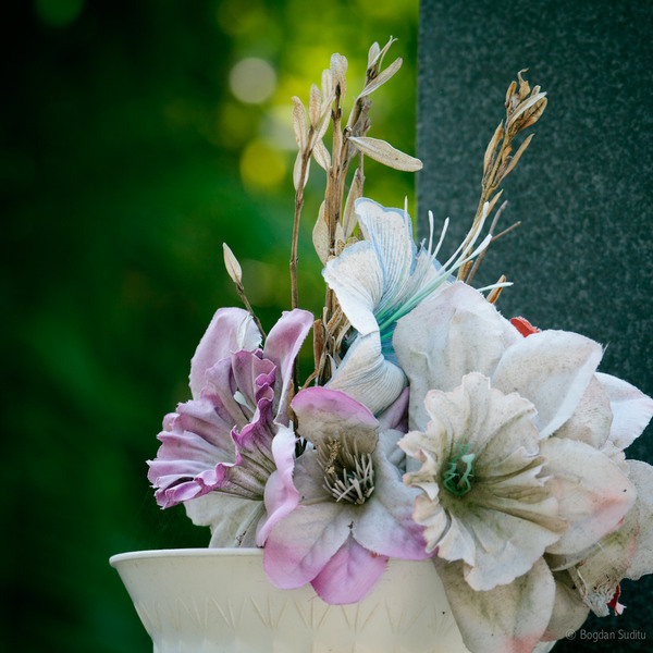 bellucemetery_010003