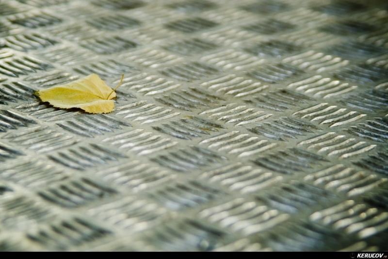 kerucov_cimitirul_bellu_100807_02