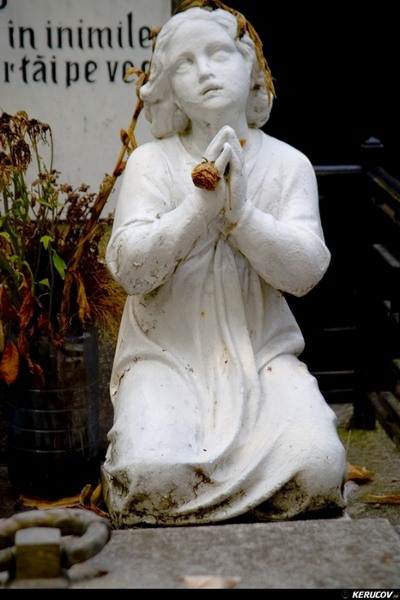 kerucov_cimitirul_bellu_100807_06