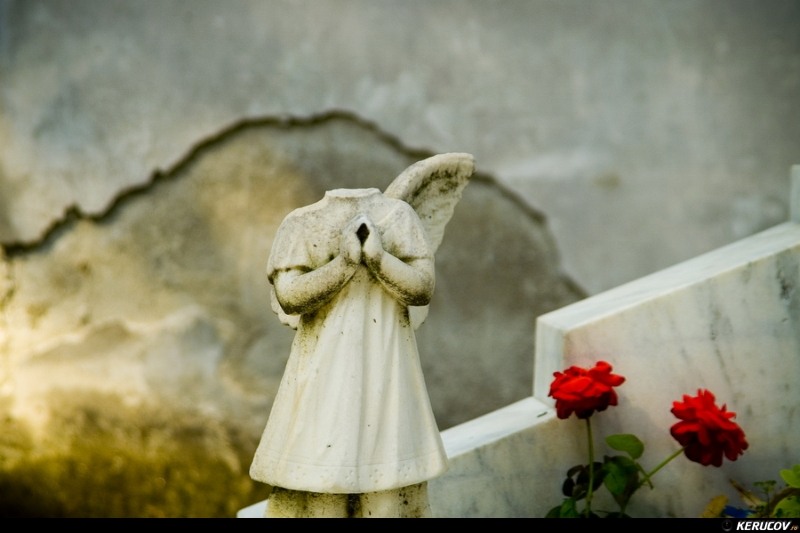 kerucov_cimitirul_bellu_100807_13