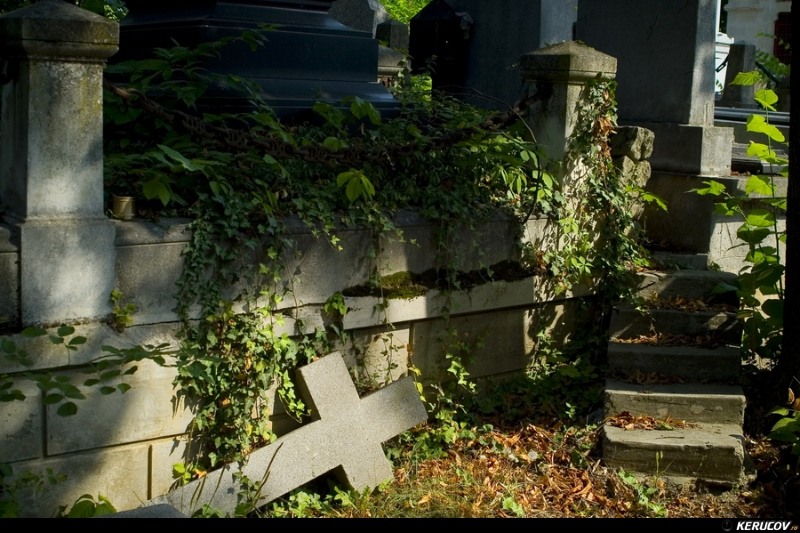 kerucov_cimitirul_bellu_100807_14