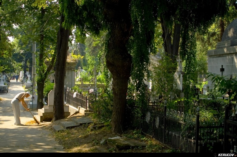 kerucov_cimitirul_bellu_100807_16