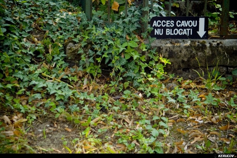 kerucov_cimitirul_bellu_100807_17