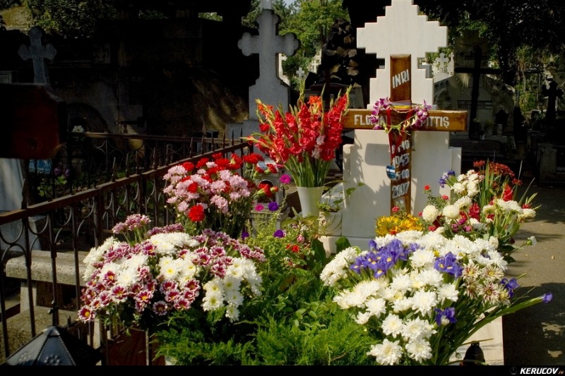 kerucov_cimitirul_bellu_100807_21