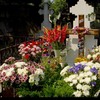 kerucov_cimitirul_bellu_100807_21