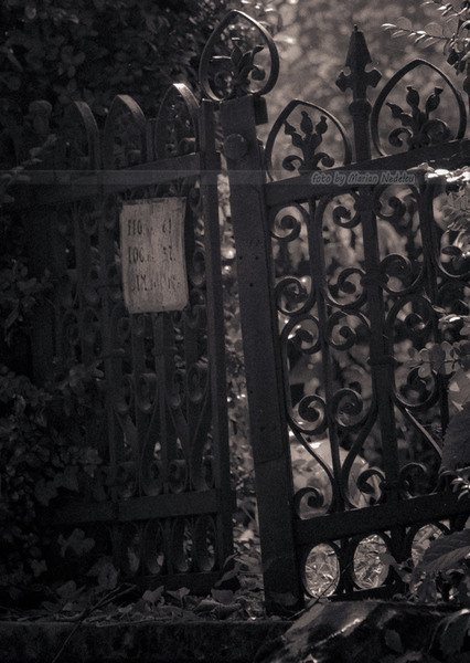 Poarta catre lumea de vizavi