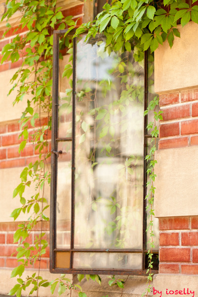 1-cand-soarele-iti-bate-in-geam