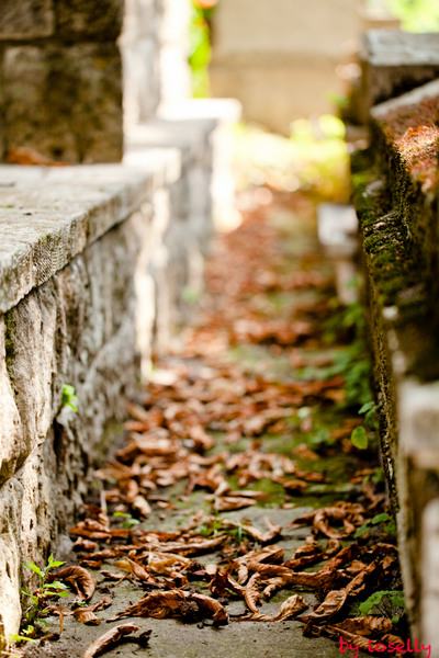 4-se-intrevede-o-luminita-la-cap-de-drum