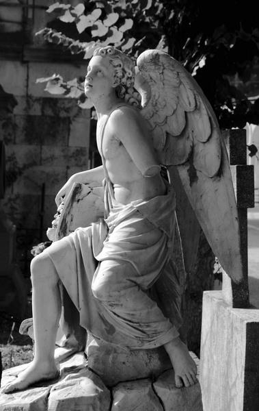 cimitirul-bellu-021_2