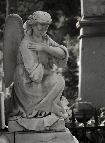 cimitirul-bellu-025_2