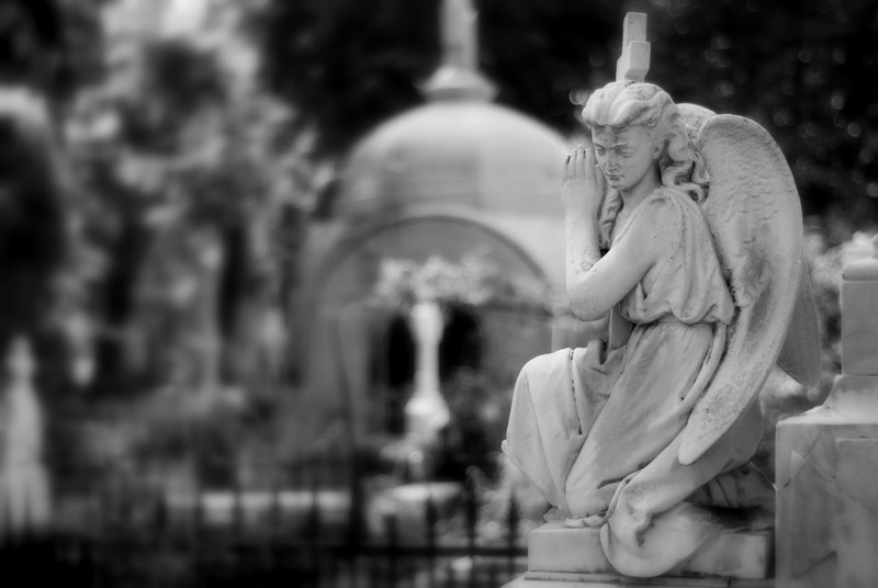 cimitirul-bellu-031-1