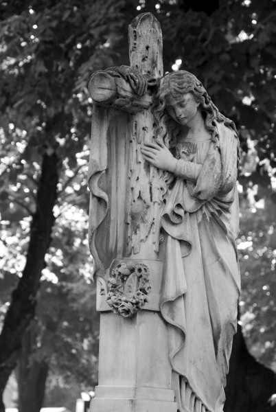 cimitirul-bellu-117_1