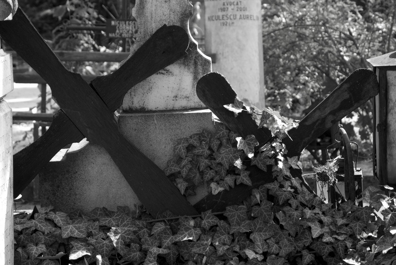 cimitirul-bellu-129