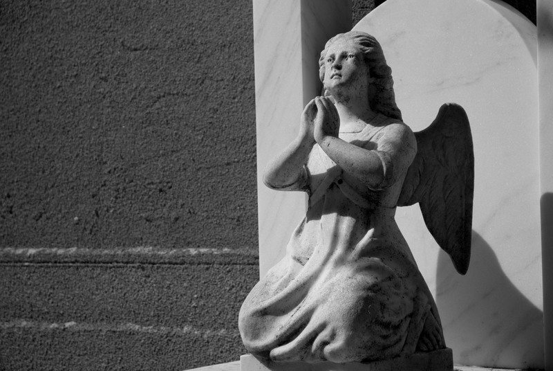 cimitirul-bellu-140_1