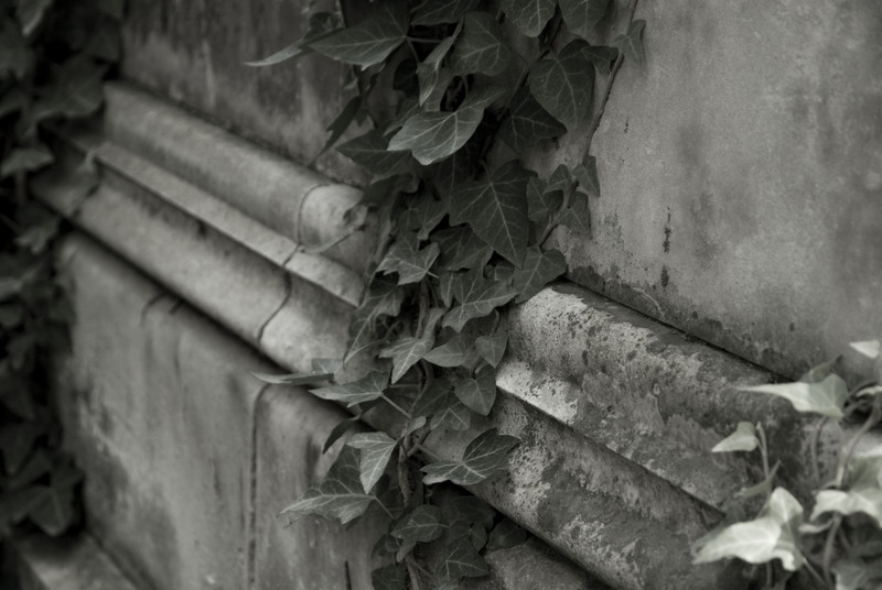 cimitirul-bellu-172_1