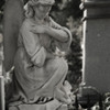 cimitirul-bellu-025_2