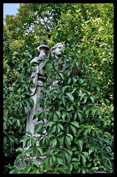 _dsc0109-copy-170-copy