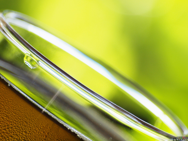 photo-001-veliko-tarnovo-2010-mr