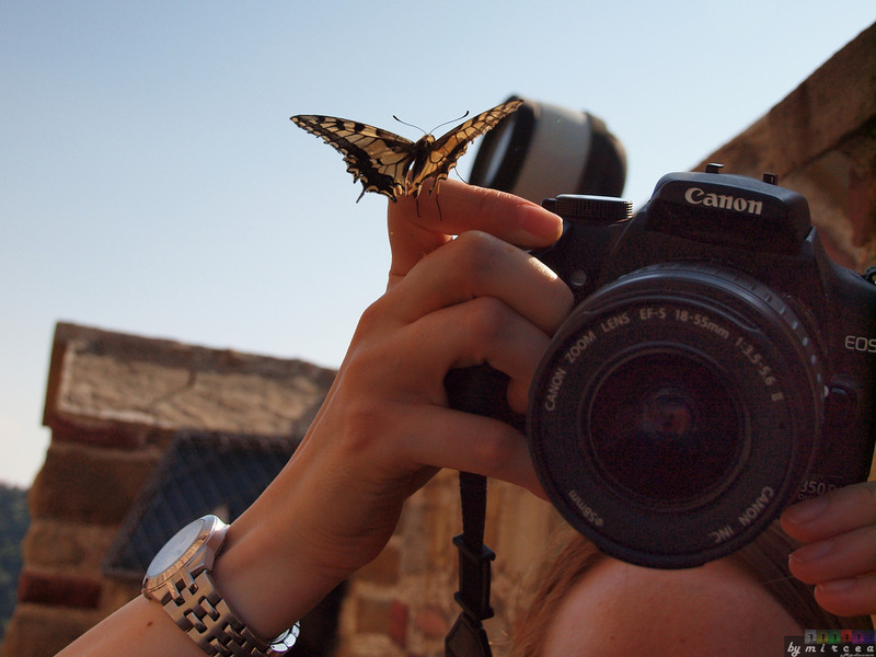 photo-007-veliko-tarnovo-2010-mr