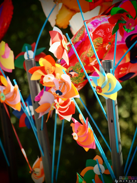 photo-011-veliko-tarnovo-2010-mr