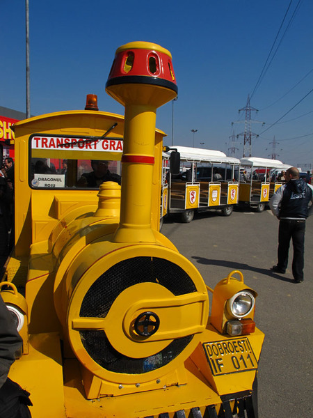 Calatorie gratuita cu trenuletul printre Dragoni