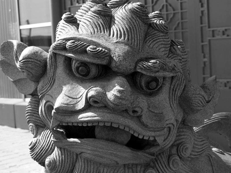 Un "BGS" al dragonului