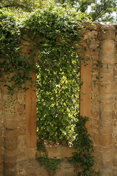 detaliu-fereastra-biserica-sfspassv-t