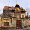 20090221_steluta-15