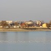 20090207_steluta_01