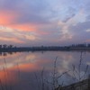 20090207_steluta_19