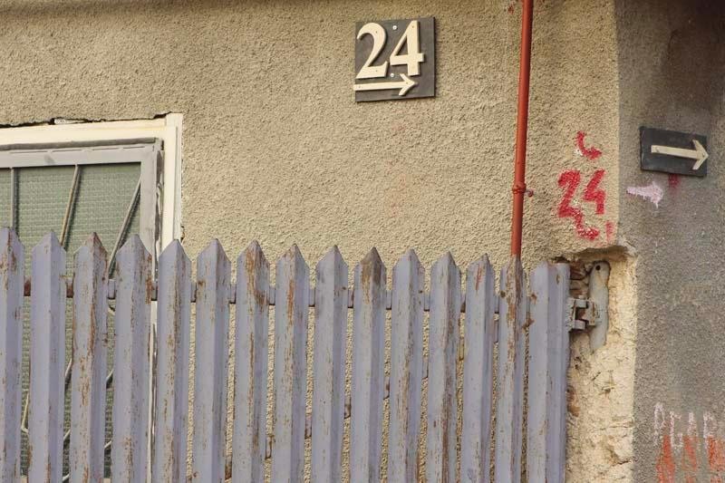 20081101_stelutap_06