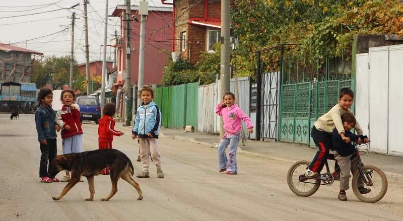 20081101_stelutap_10