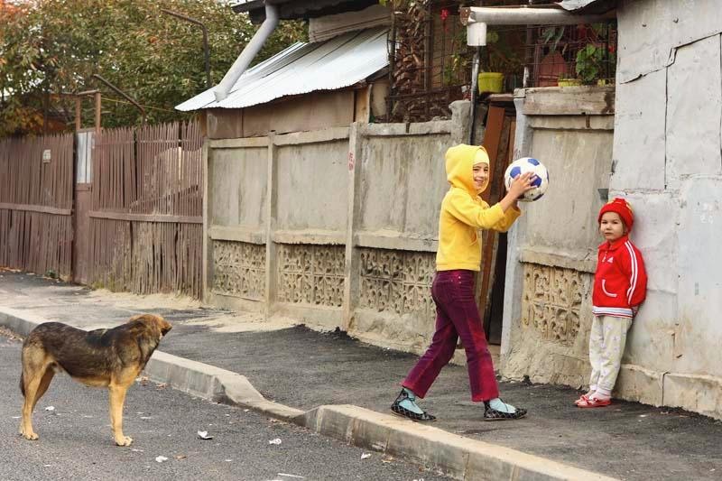 20081101_stelutap_11