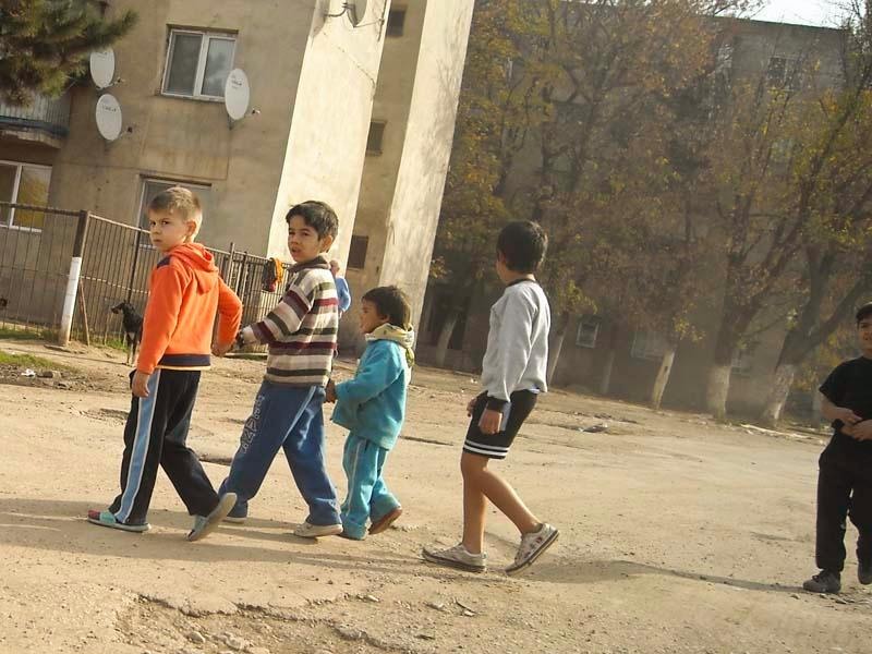 20081101_stelutap_12