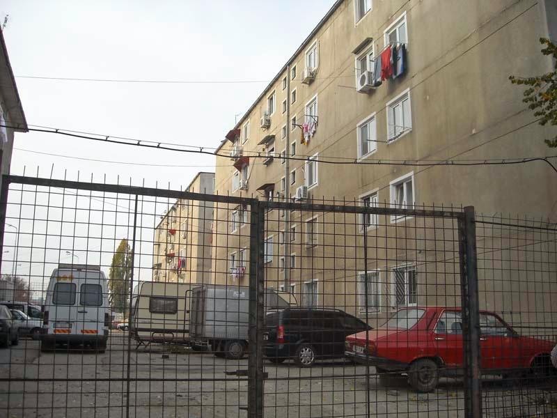 20081101_stelutap_19