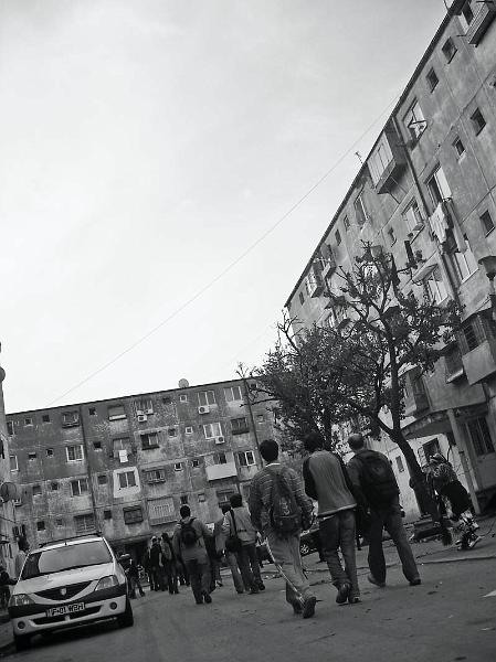 20081101_stelutap_21