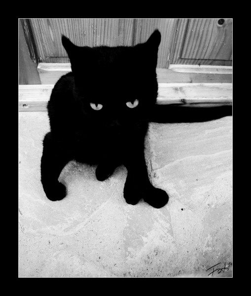 Your worst nightmare