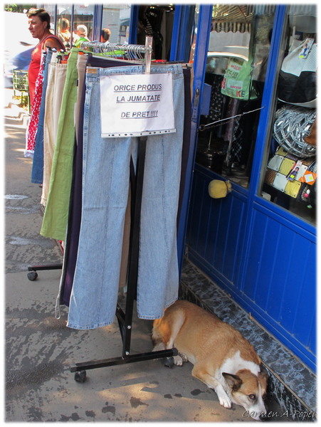 io-s la pret intreg!