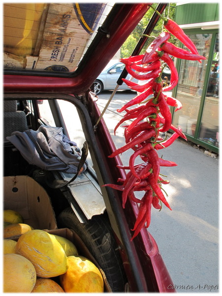 portbagajul cu de toate