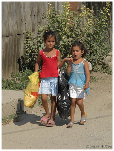 locatarele de pe drumul Bercenarului