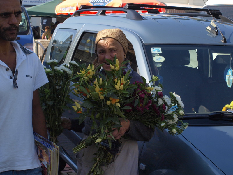 soseaua&#45;giurgiului&#45;2010&#45;14